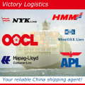 Freight Forwarder Agent/logistique/expédition transitaire en Chine